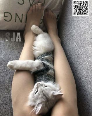 久久综合激情网_BD国语日韩电影在线